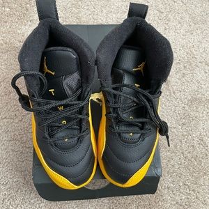 Brand New Jordan Retro 12